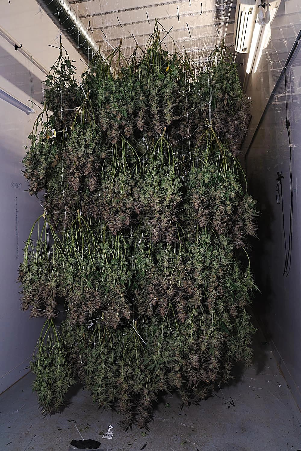 Growing facility