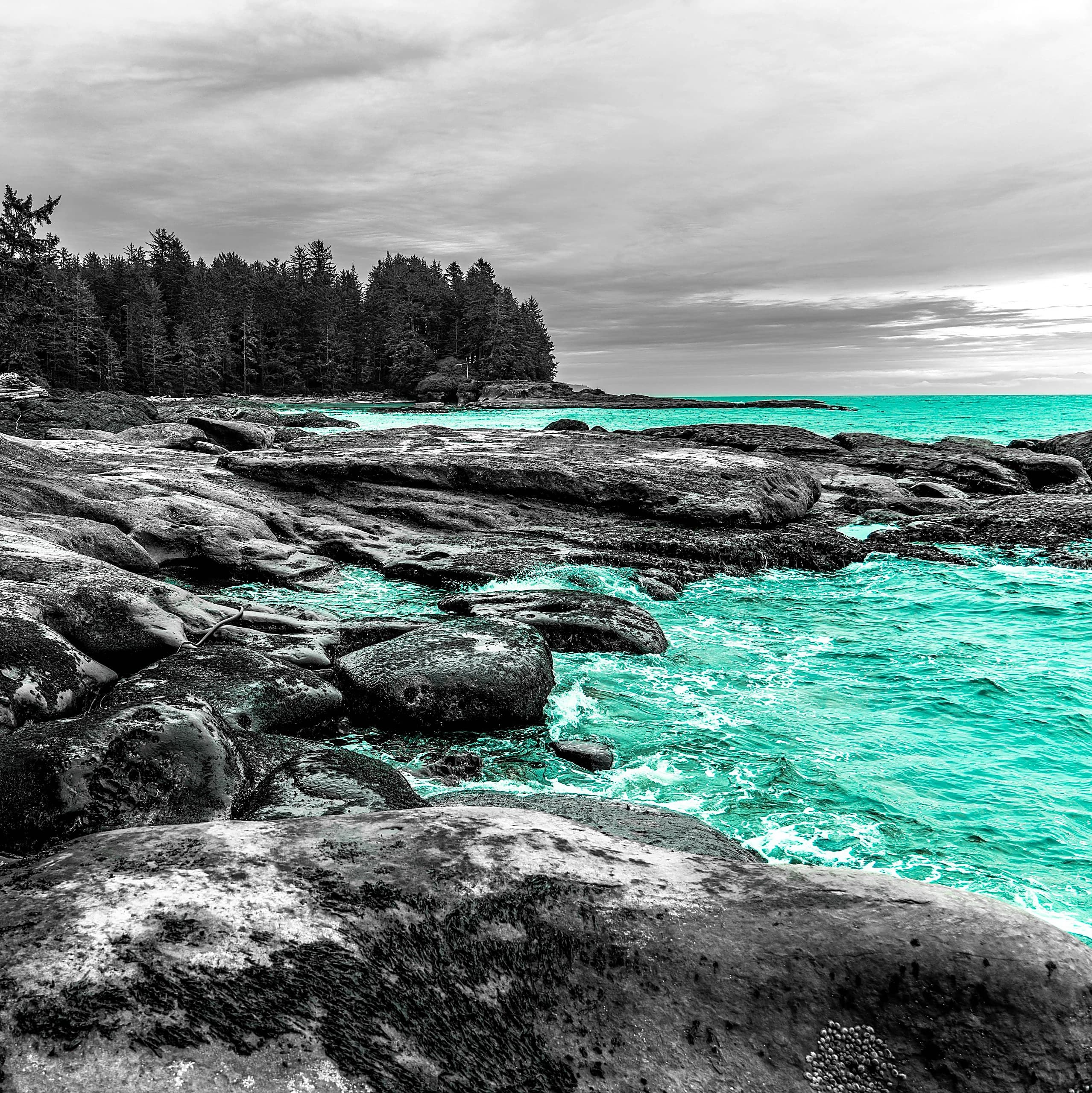 BC landscape